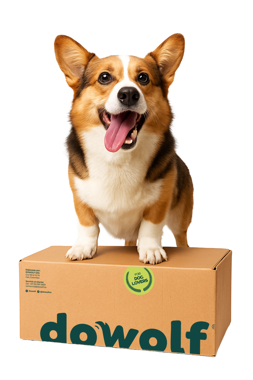 Caja x24 Galletas 200gr Yogur Griego Banano y Manzana