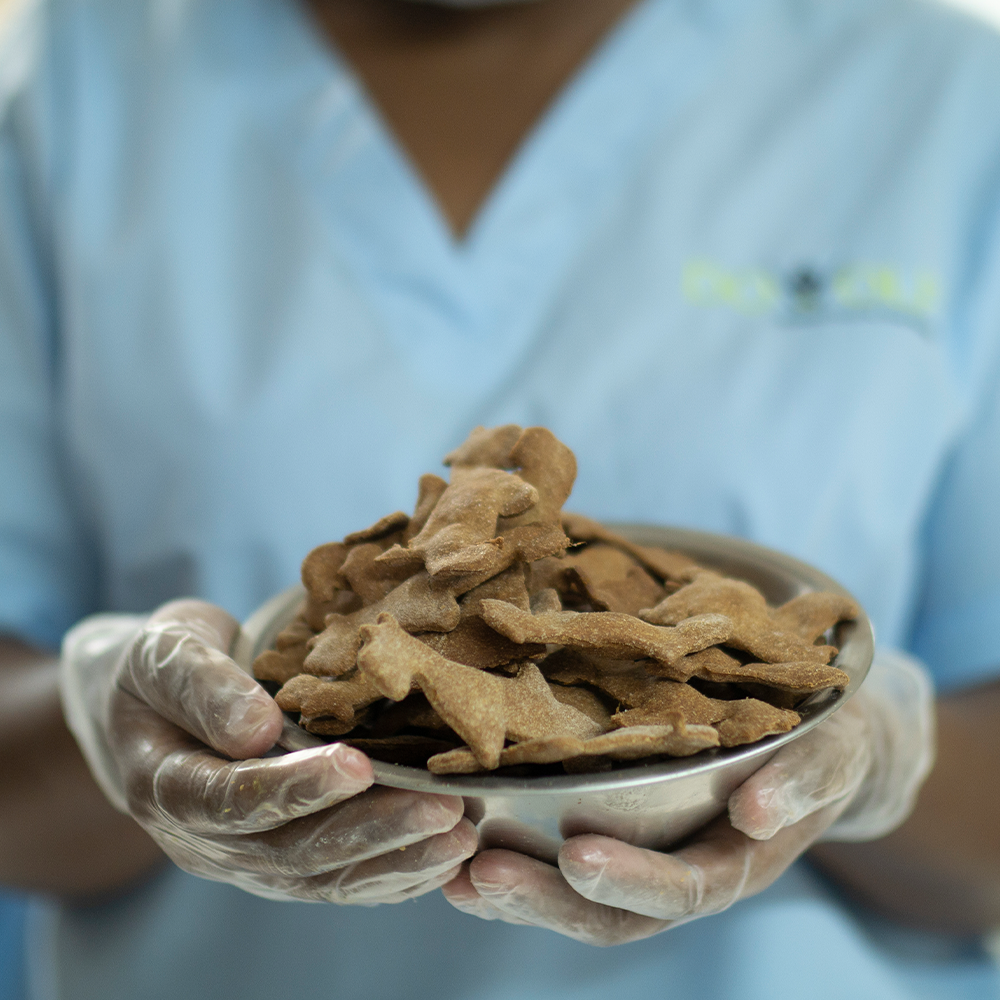 Galletas x 1Kg diferentes sabores Nacional